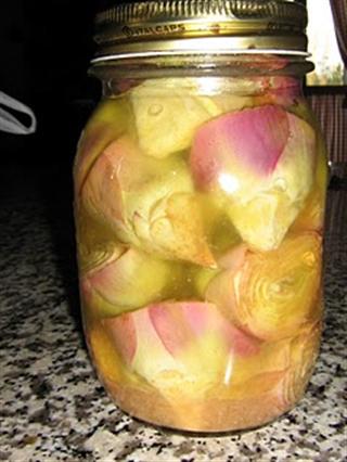 carciofini sott'olio