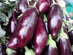 melanzane lunghe lucidissime