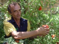 martino offre un pomodoro