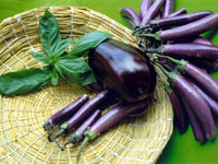 melanzane di vari tipi