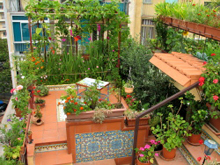 il giardino sul tetto di Gaetano Bruno