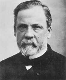 una foto di louis pasteur