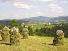 paesaggio di campagna