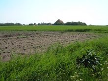 un campo coltivato