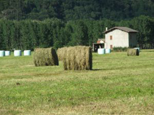 fattoria in campagna