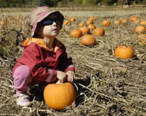 un bambino seduto in un campo di zucche