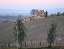 panorama dei vigneti di montepulciano