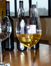 vino bianco