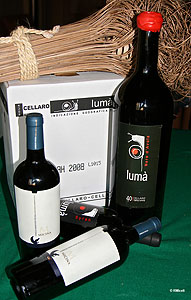 vini delle terre sicane