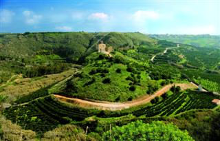castello di Ribera