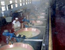 la lavorazione del parmigiano-reggiano