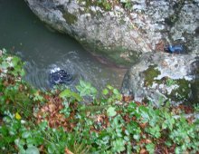 le bottiglie nel torrente