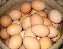 cesto pieno di uova
