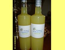 Limoncello di Maryann