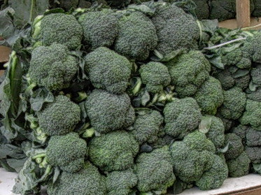 broccoli