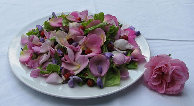 Un'insalata di fiori!