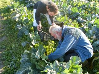 agricoltura biodinamica con Ortalon