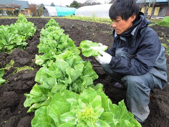 un ricercatore a fukushima