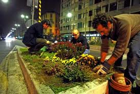 un'azione notturna di guerrilla gardening