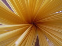 raggera di spaghetti crudi