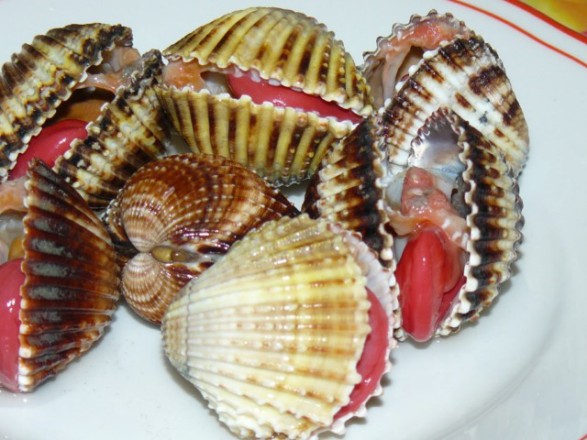 cuori di mare