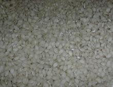 chicchi di riso vialone nano
