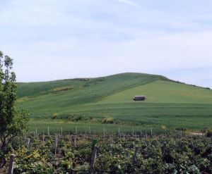 paesaggio collinare siciliano