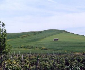 paesaggio collinare siciliano