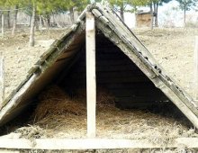 una capannetta creata per dare rifugio ai maiali