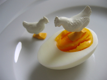 mezzo uovo sodo con una gallinella di plastica