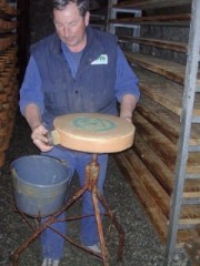 elio spazzola una fontina