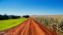 una strada arata in mezzo a un campo coltivato