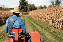 un trattore che attraversa un campo di grano