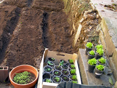 giardino urbano a Roma