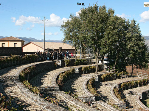 anfiteatro Palici