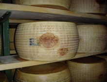 forma di parmigiano reggiano