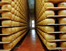 azienda parmiggiano reggiano