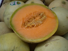 meloni cantalupo