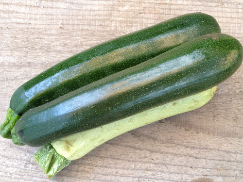 zucchine