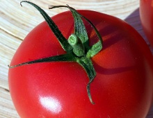 un pomodoro rosso