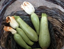 zucchine di Trieste