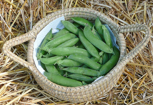 piselli appena colti