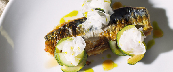 filetti-di-branzino-con-cetrioli-e-yogurt