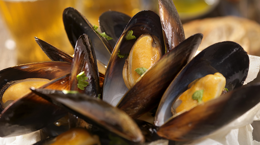 salsina-di-cozze