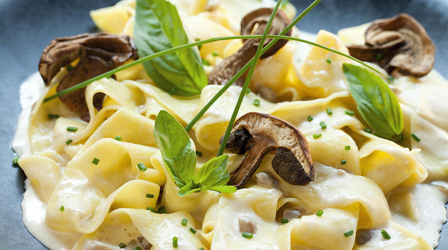 pappardelle con crema di funghi porcini