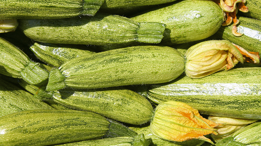 zucchine