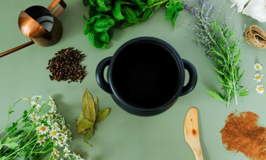 erbe aromatiche