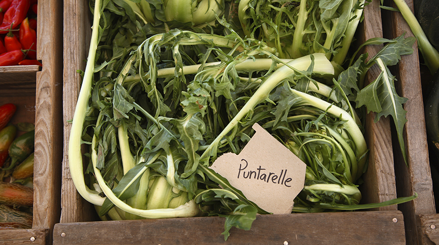 lucioperca-dorato-con-puntarelle