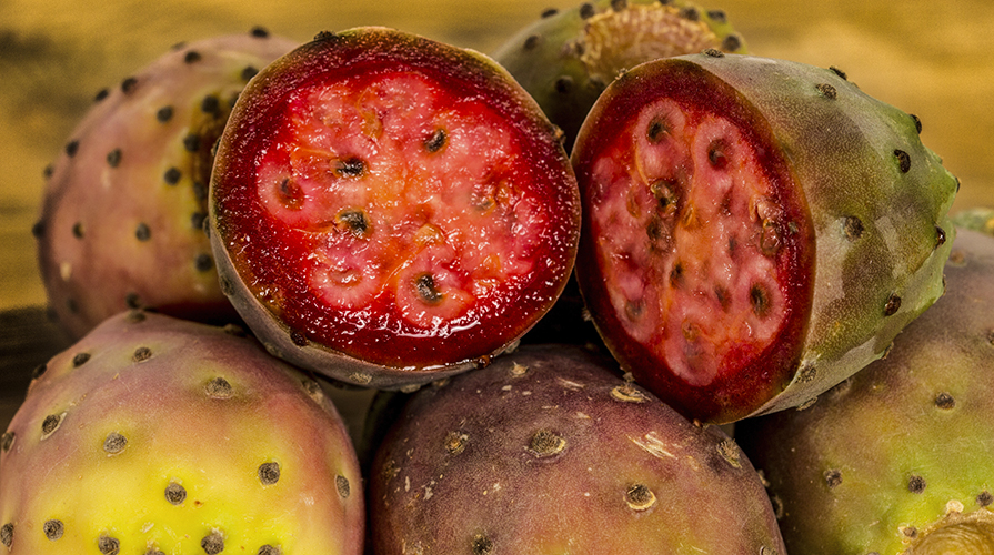 ricetta-vino-cotto-di-fichi-d-india