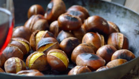 castagne ubriache